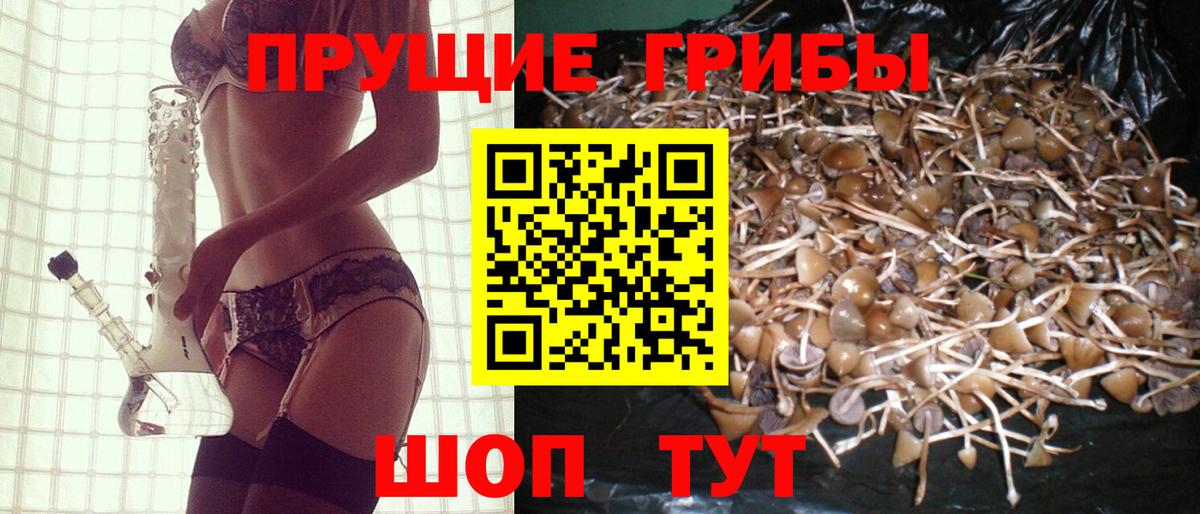 Чехов  где купить   Вход с VPN  Галлюциногенные грибы ЛСД 