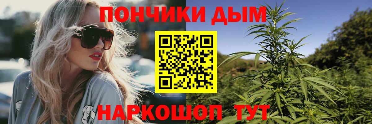 Бошки Шишки гибрид Чехов